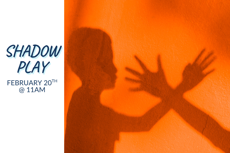 Shadow Play