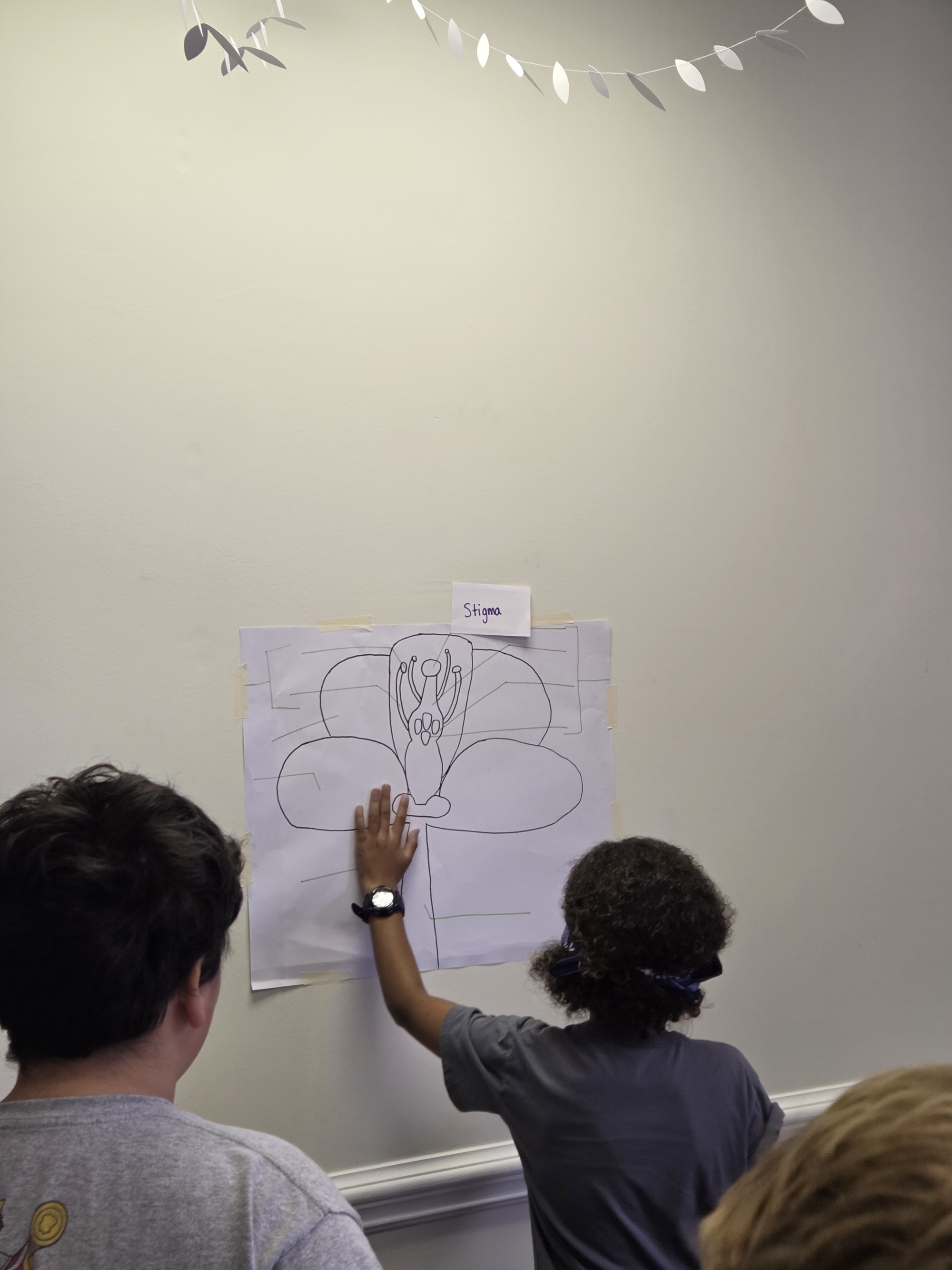 Botany Science Game